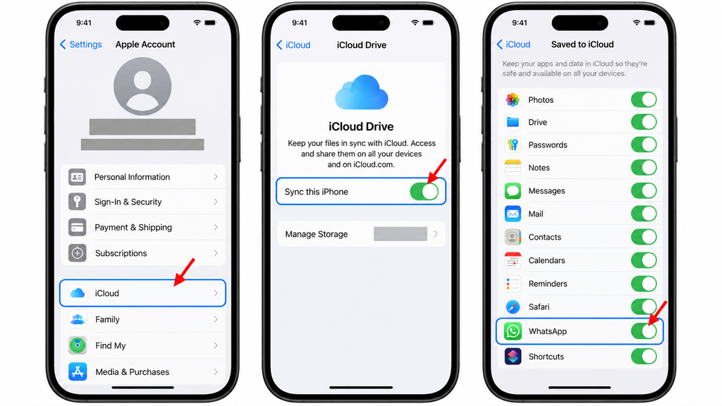 Enabling iCloud Drive and WhatsApp access on a replacement iPhone.